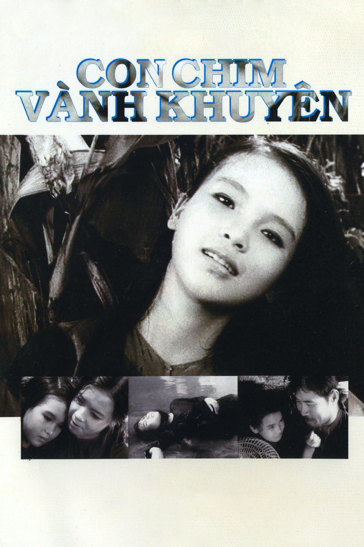 Con Chim Vành Khuyên - The Passerine Bird