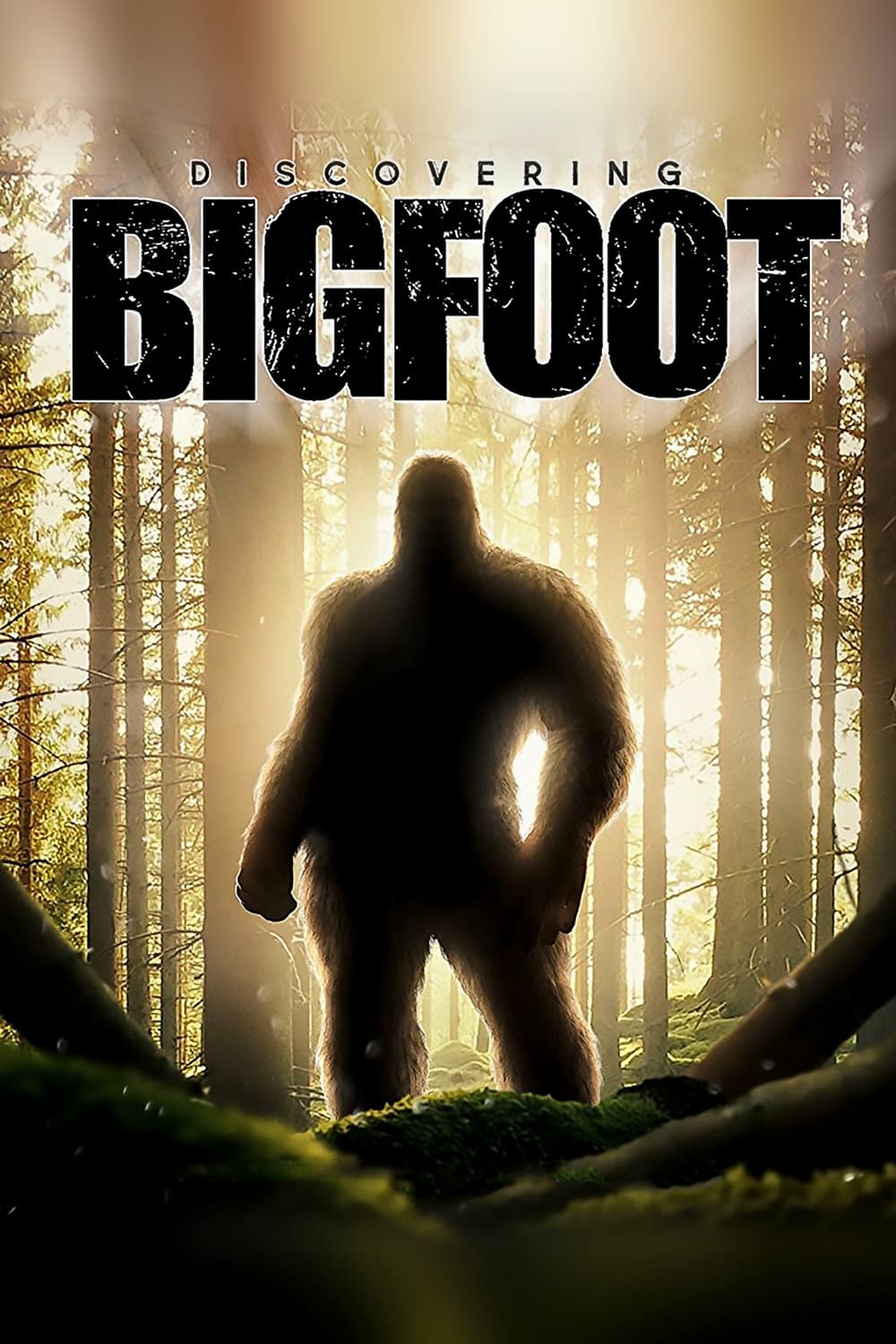 Truy Tìm Bigfoot